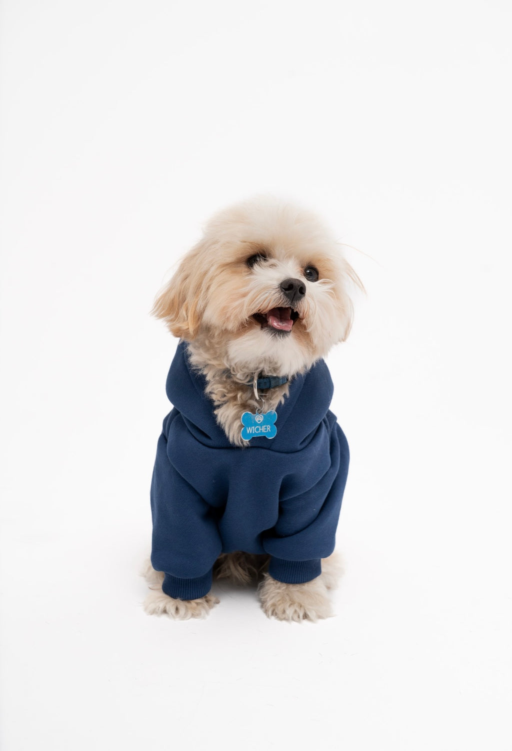 Dog Hoodie