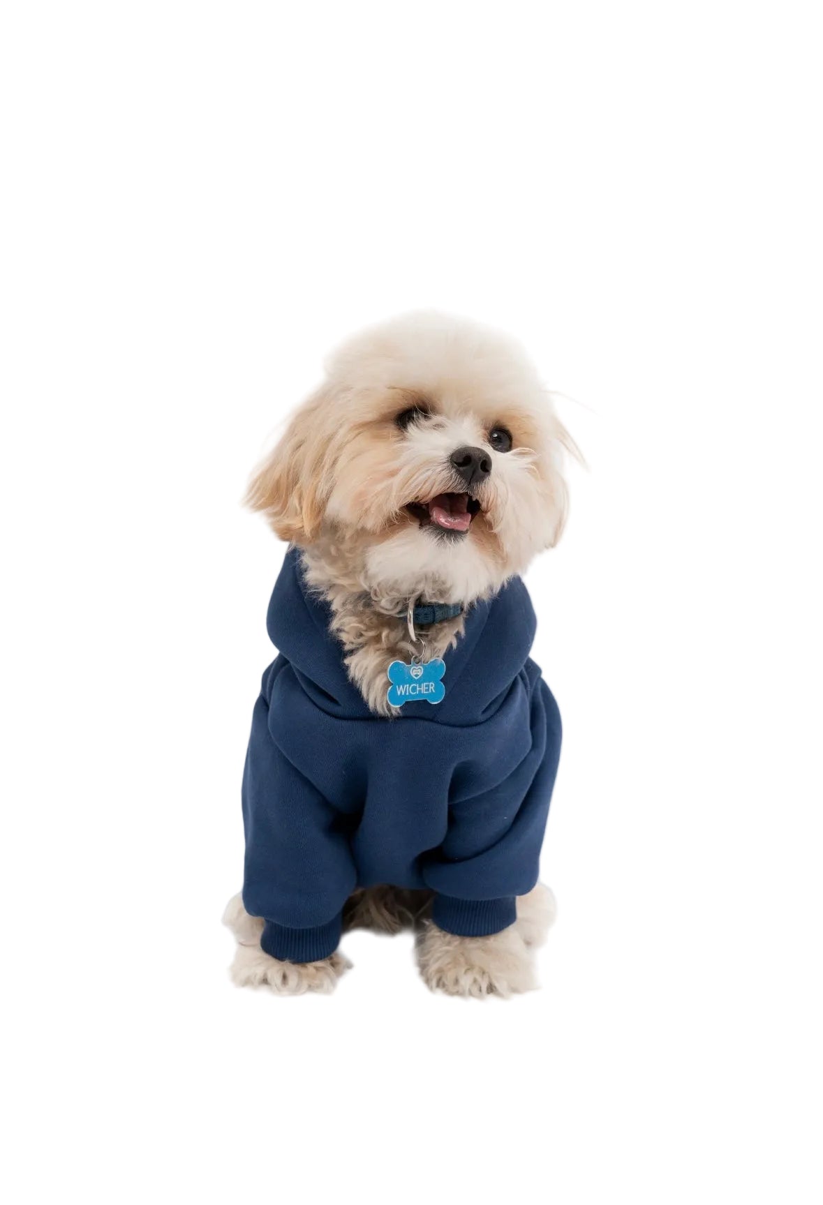 Hunde-Kapuzenpullover