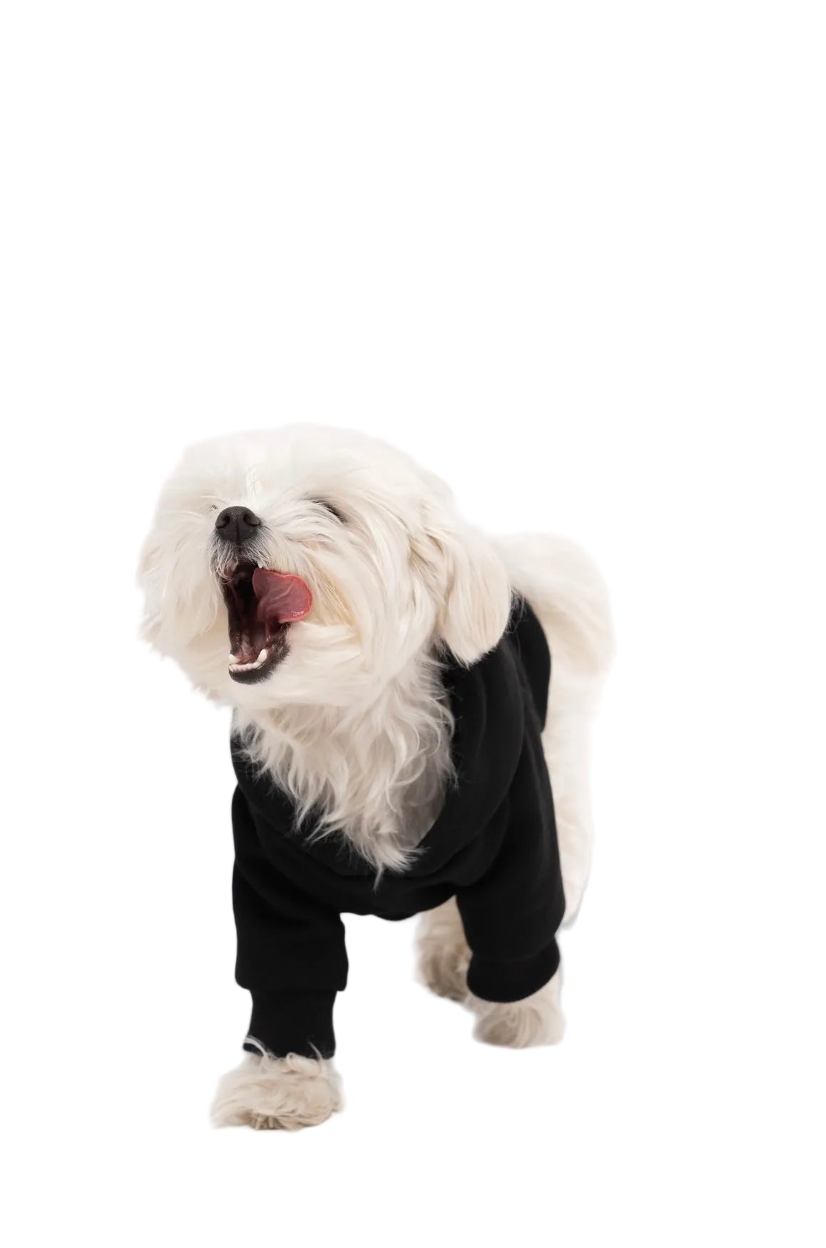 Hunde-Kapuzenpullover