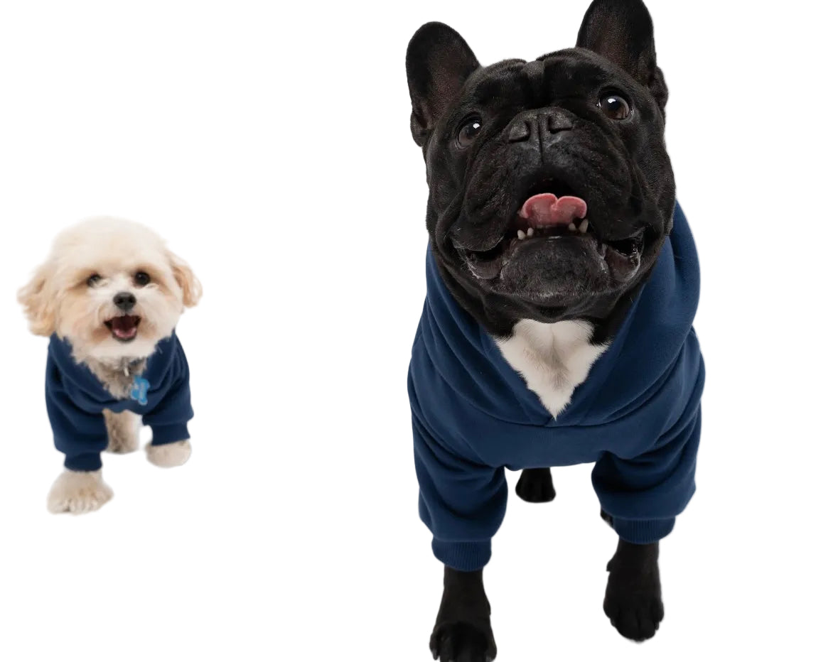 Hunde-Kapuzenpullover