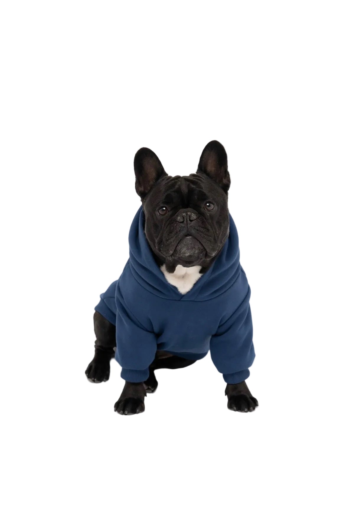 Hunde-Kapuzenpullover
