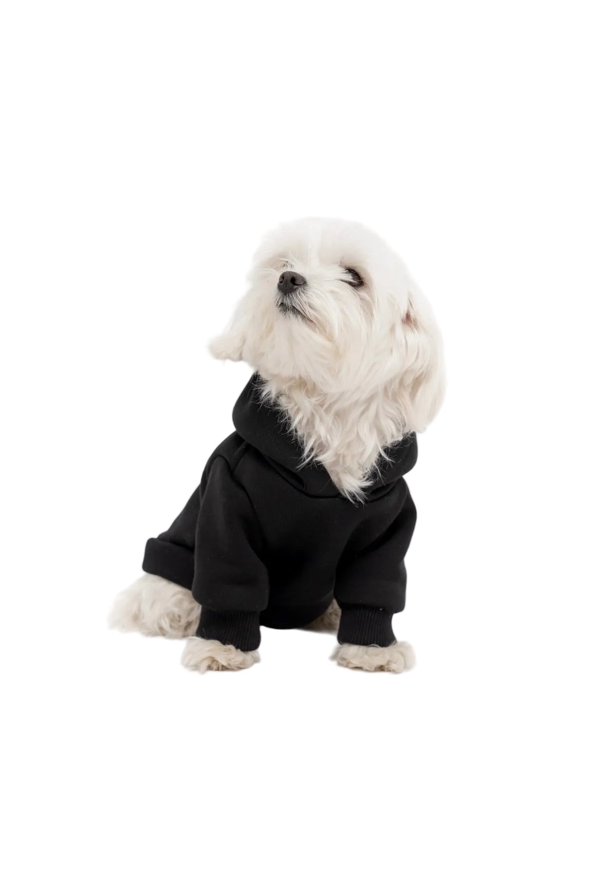 Hunde-Kapuzenpullover