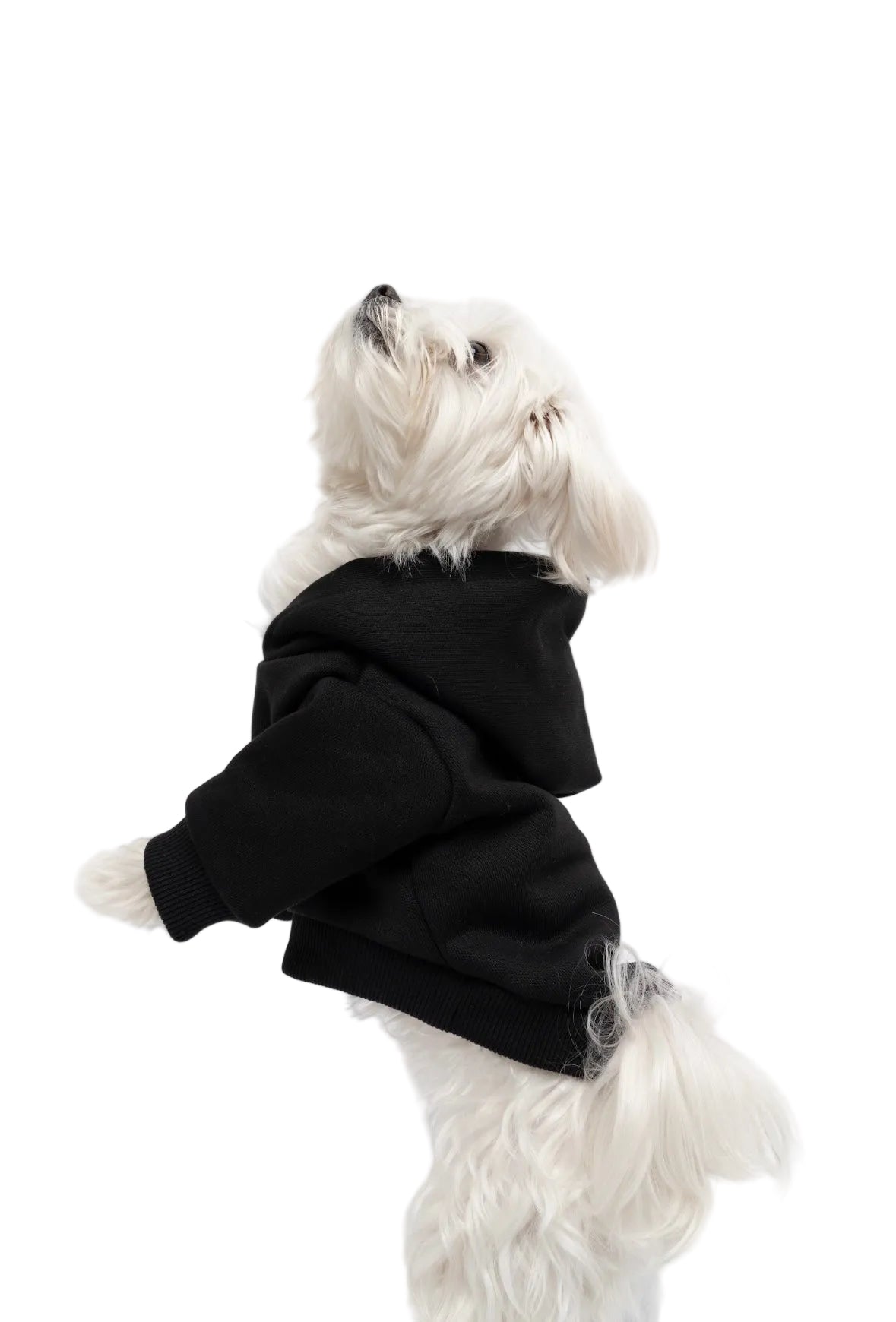 Hunde-Kapuzenpullover