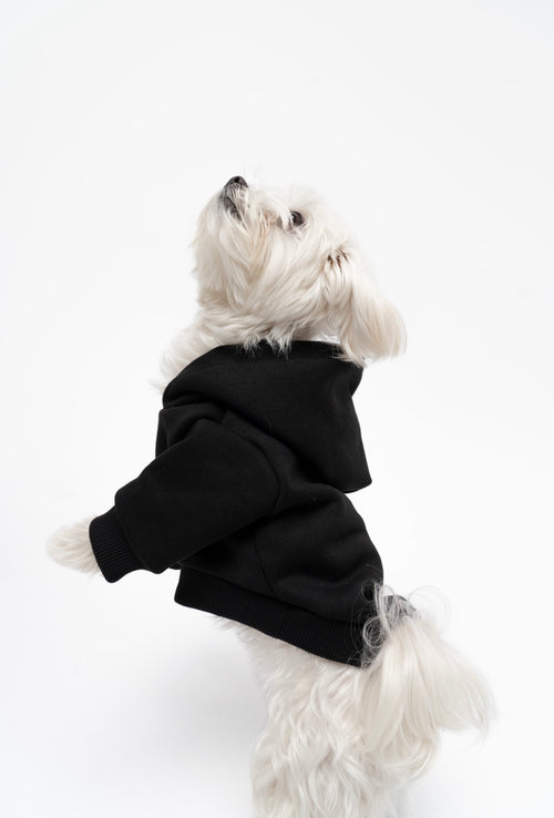 Dog Hoodie